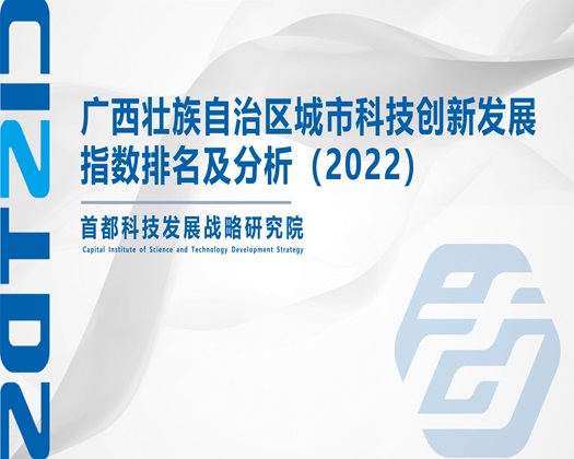 操屄舔屄喷水视频【成果发布】广西壮族自治区城市科技创新发展指数排名及分析（2022）